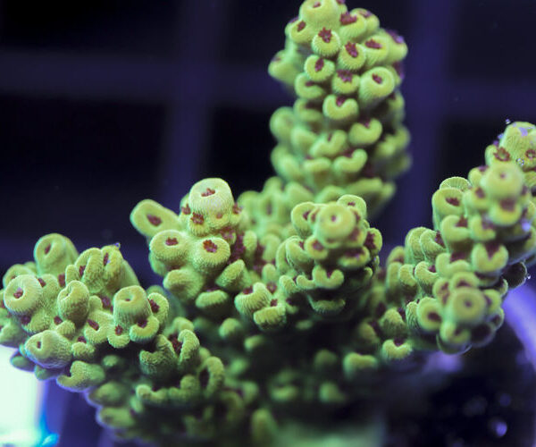 import placeholder for 3058992