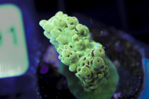 import placeholder for 3058991