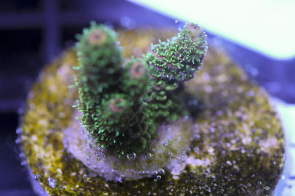 import placeholder for 3058989