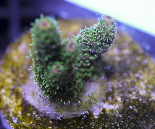 import placeholder for 3058989