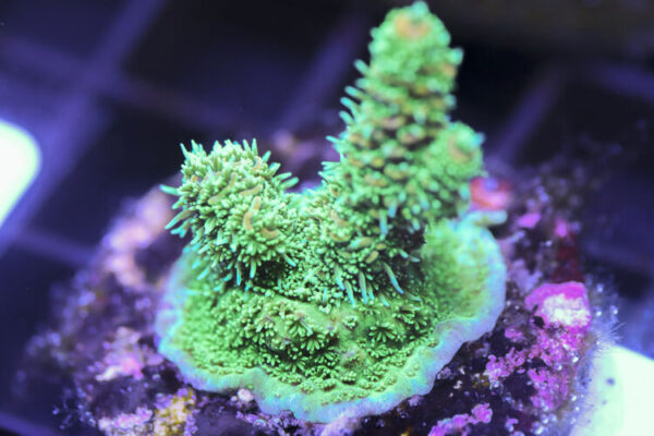 import placeholder for 3058986