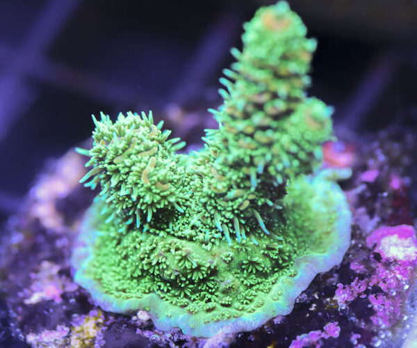 import placeholder for 3058986