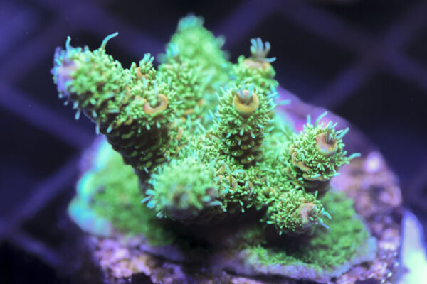 import placeholder for 3058985