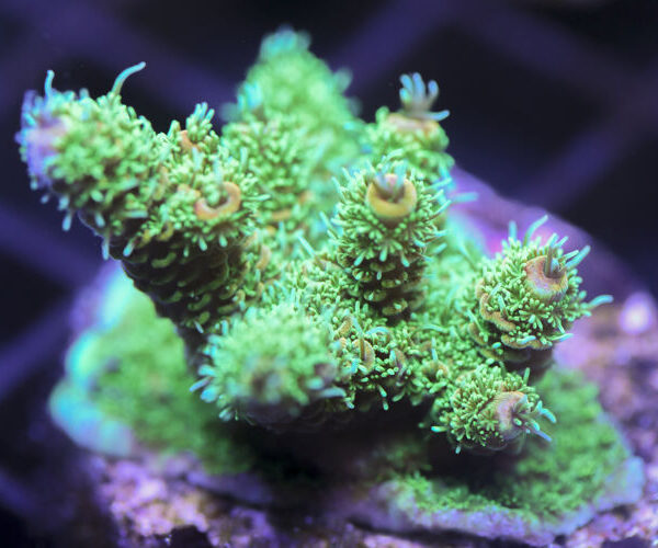 import placeholder for 3058985