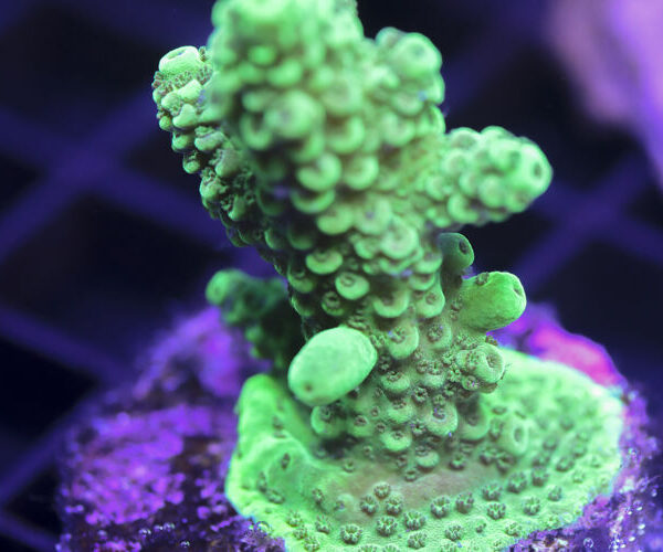 import placeholder for 3058981