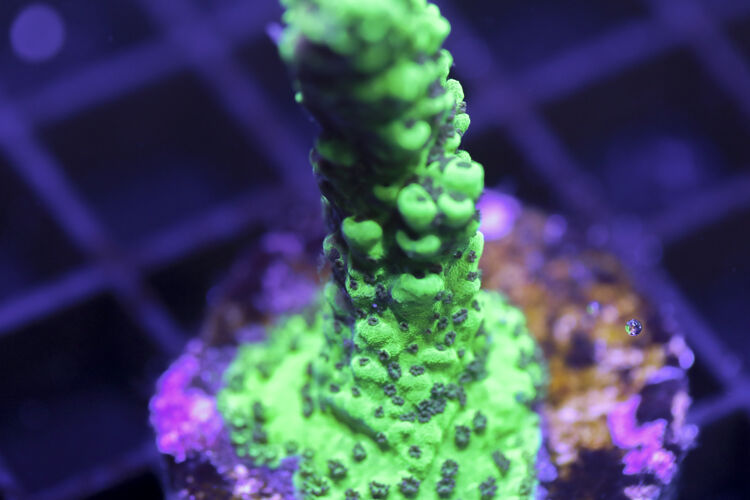 import placeholder for 3058980