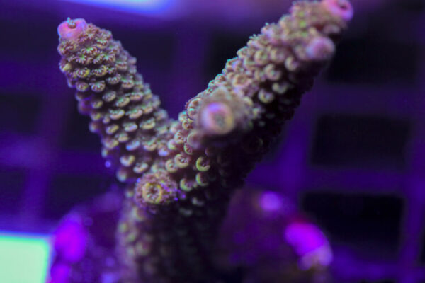 import placeholder for 3058978