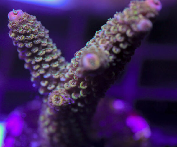 import placeholder for 3058978