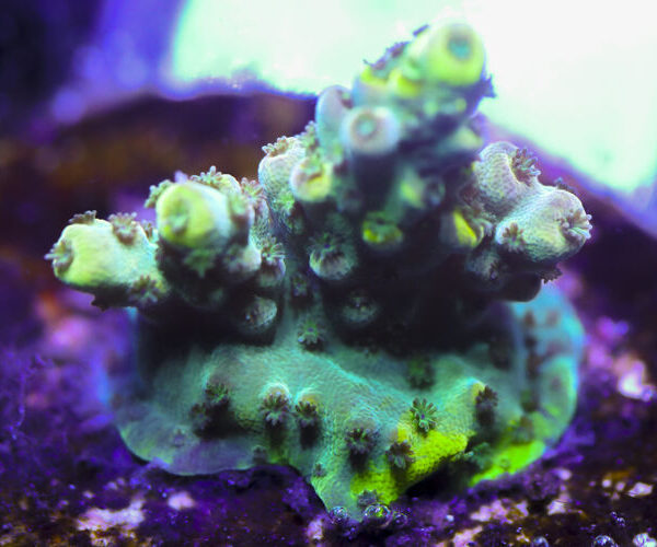 import placeholder for 3058976