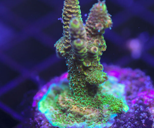 import placeholder for 3058975