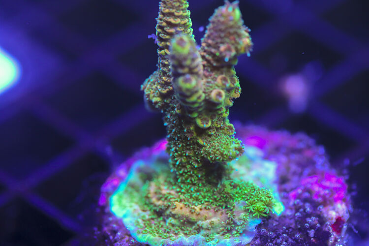 import placeholder for 3058975