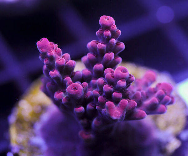 import placeholder for 3058971