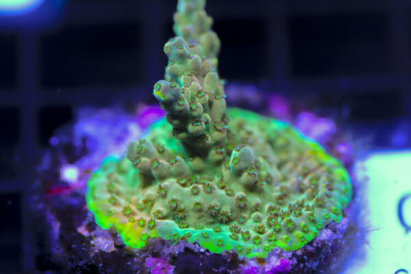 import placeholder for 3058966