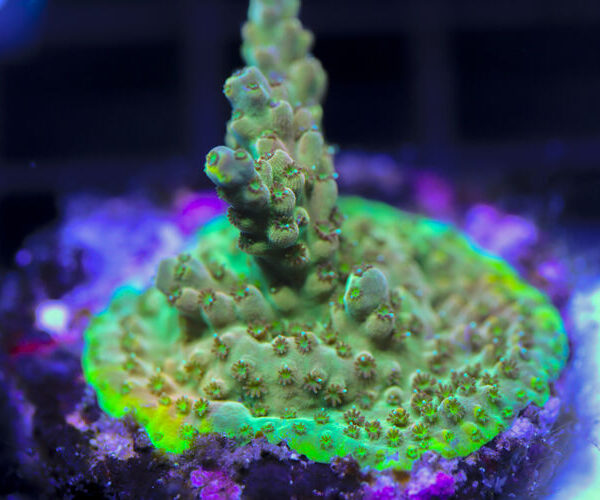 import placeholder for 3058966