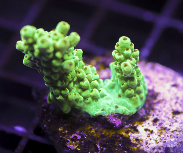 import placeholder for 3058965