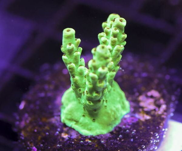 import placeholder for 3058964