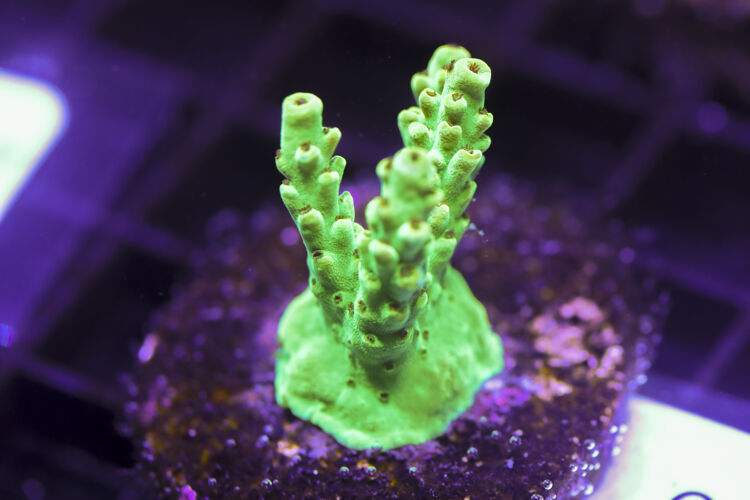 import placeholder for 3058964