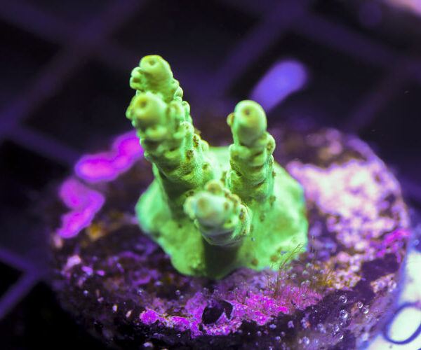 import placeholder for 3058962