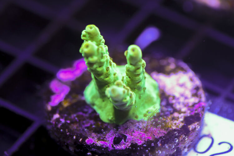 import placeholder for 3058962