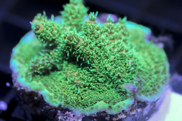 import placeholder for 3058957