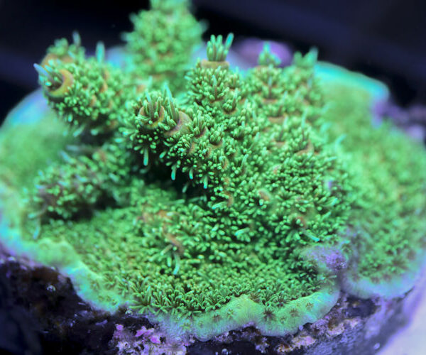 import placeholder for 3058957