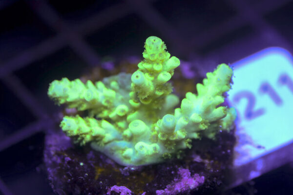 import placeholder for 3058953