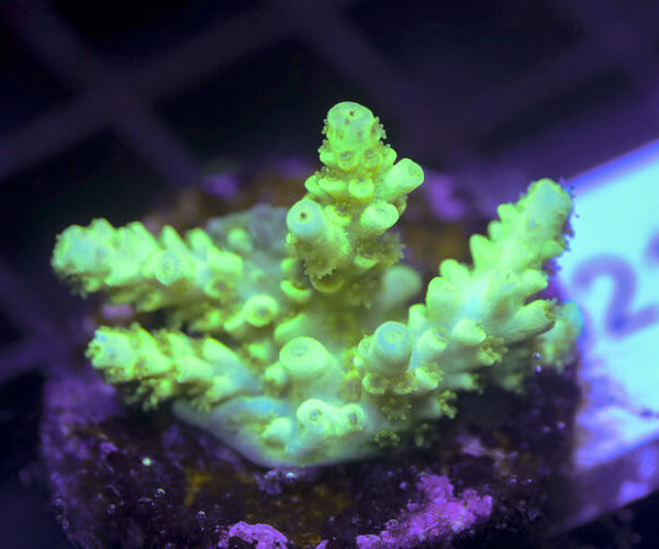 import placeholder for 3058953