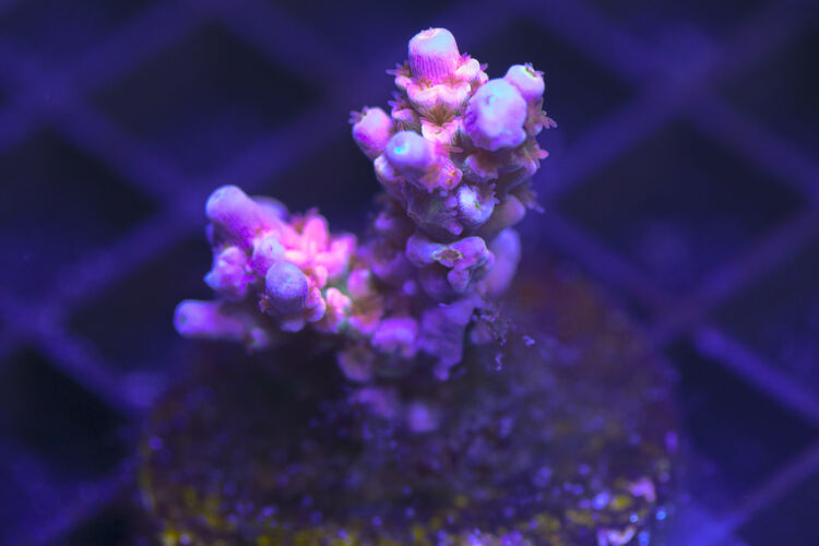 import placeholder for 3058949