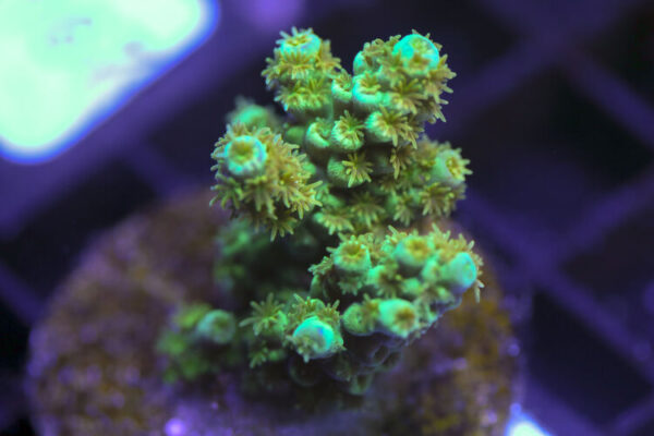 import placeholder for 3058945