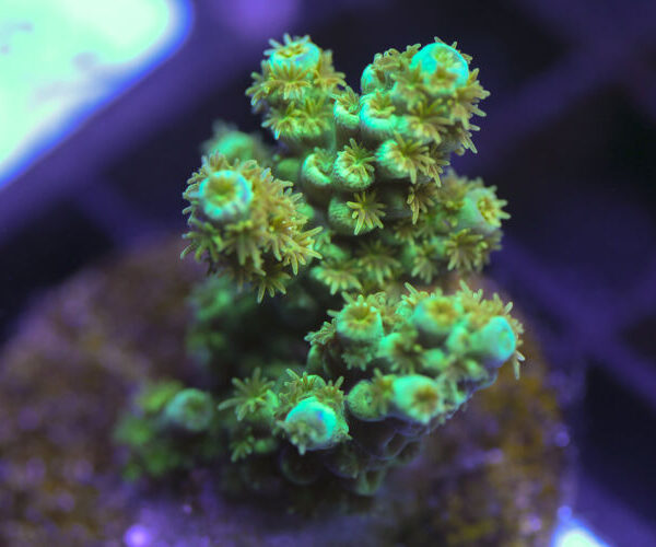 import placeholder for 3058945