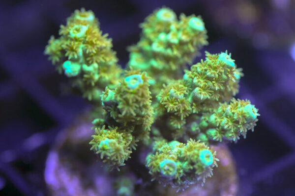 import placeholder for 3058942