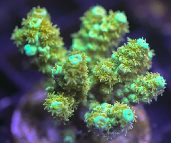 import placeholder for 3058942