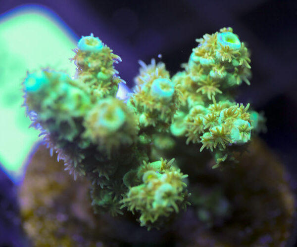 import placeholder for 3058941