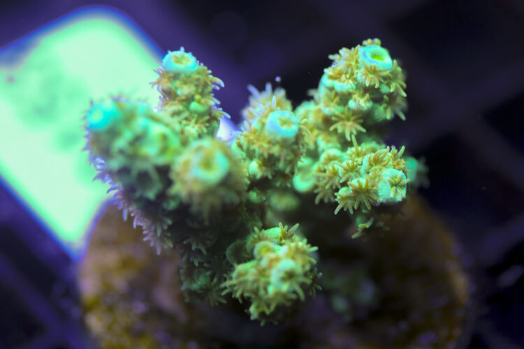 import placeholder for 3058941