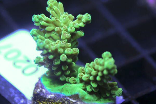 import placeholder for 3058940