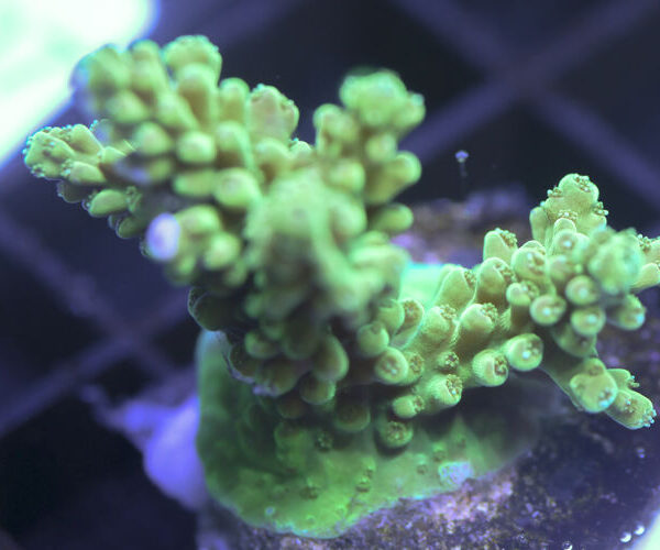 import placeholder for 3058939