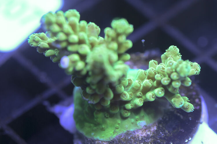 import placeholder for 3058939