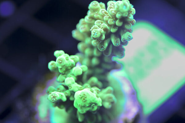 import placeholder for 3058938