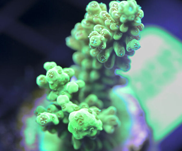 import placeholder for 3058938