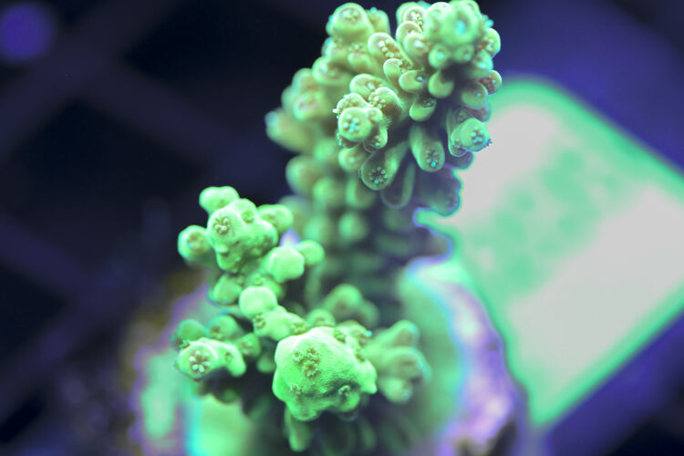 import placeholder for 3058938