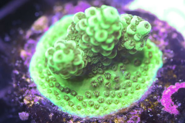 import placeholder for 3058935