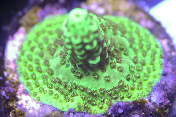 import placeholder for 3058934