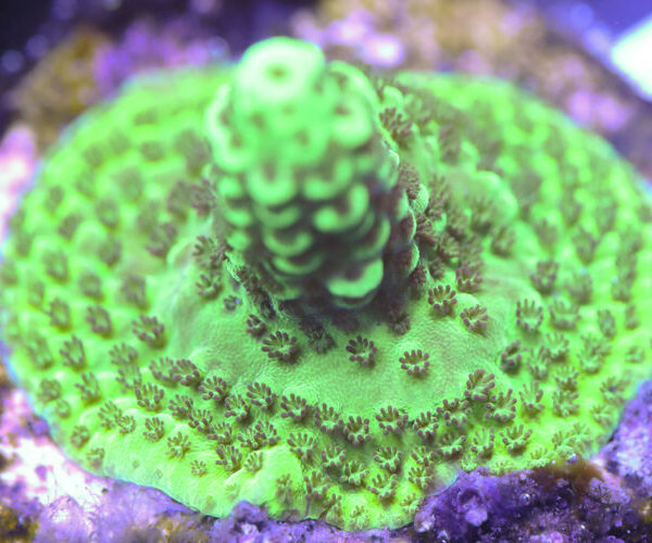 import placeholder for 3058934