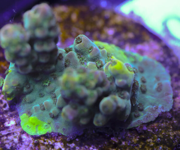 import placeholder for 3058933