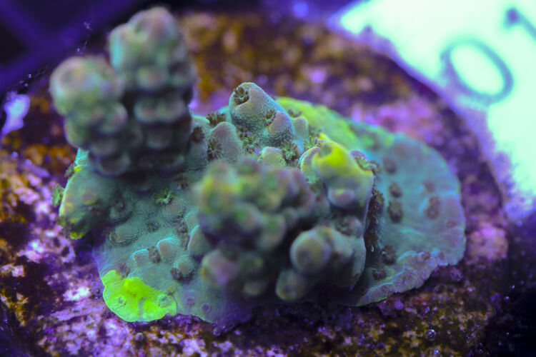 import placeholder for 3058933