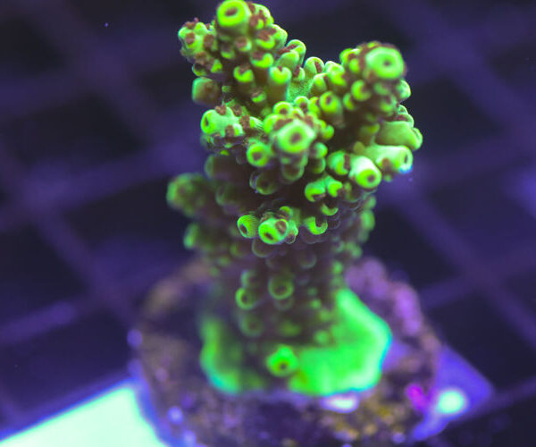 import placeholder for 3058931