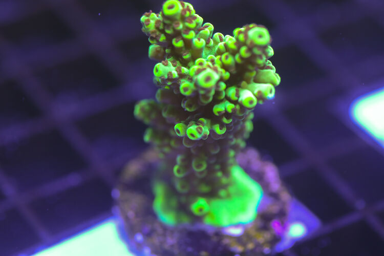 import placeholder for 3058931