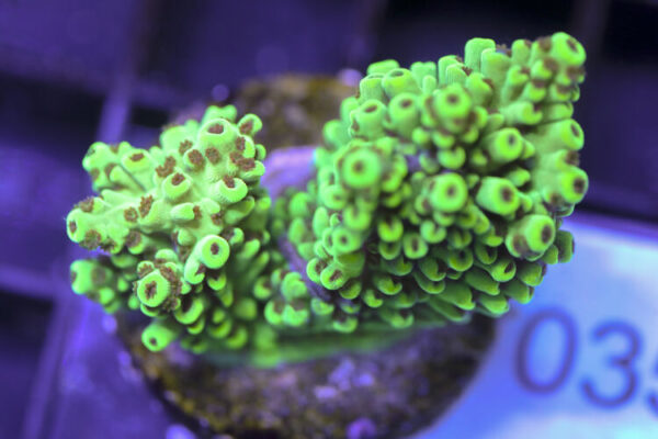 import placeholder for 3058930