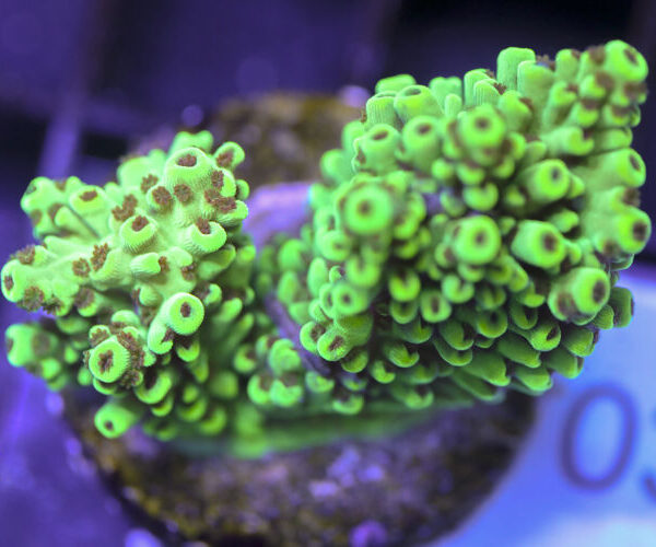 import placeholder for 3058930