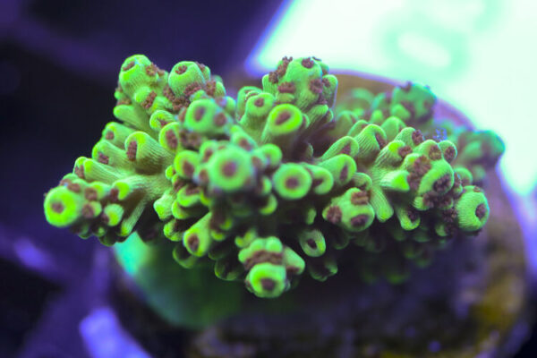 import placeholder for 3058929